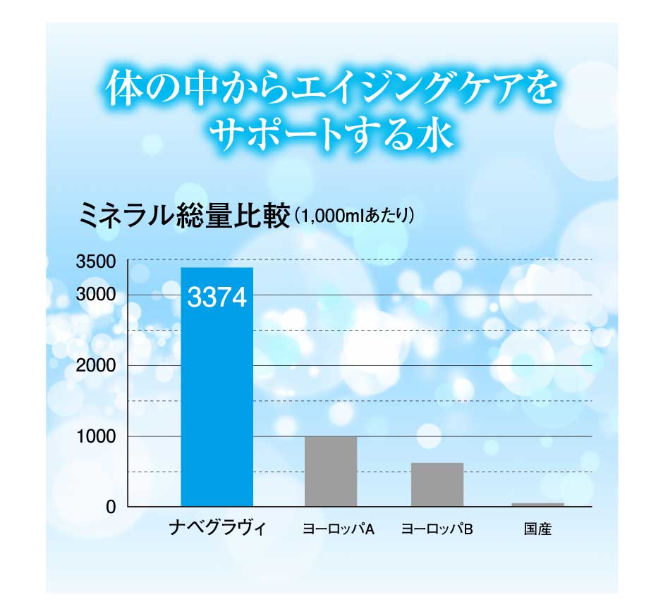 nabeghlavi ナベグラヴィ ペットボトル 500ml 12本　東和バイオ