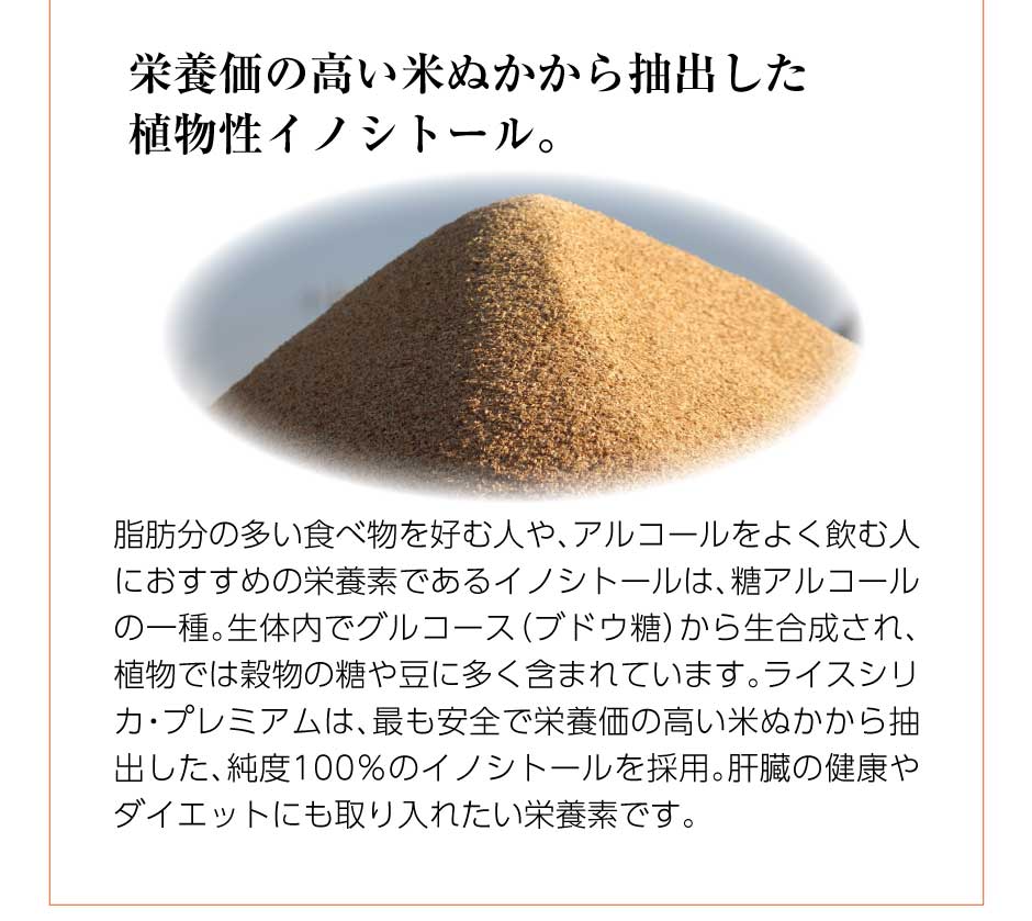 Rice Silica PREMIUM ライス　シリカ ライスシリカプレミアム 500mL Rice Silica PREMIUM 500mL