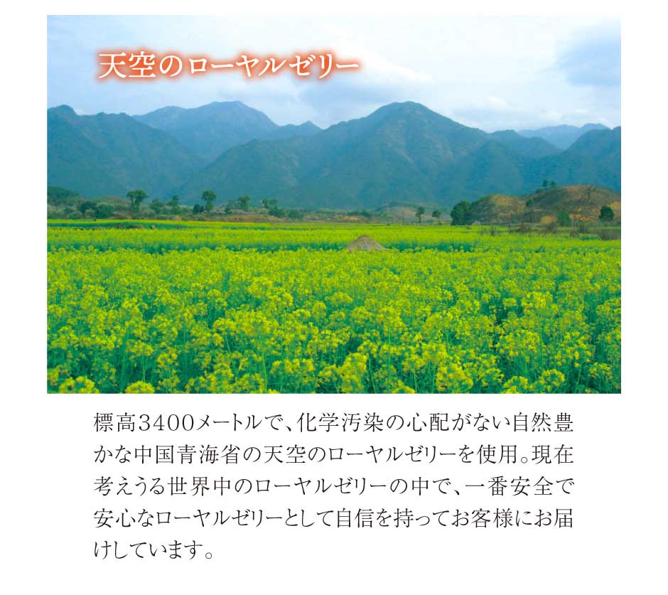 ローヤルゼリー＋コラーゲン 健康美人フォーラム　東和バイオ