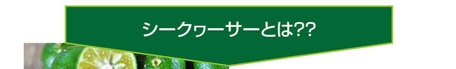 山原シークヮーサー