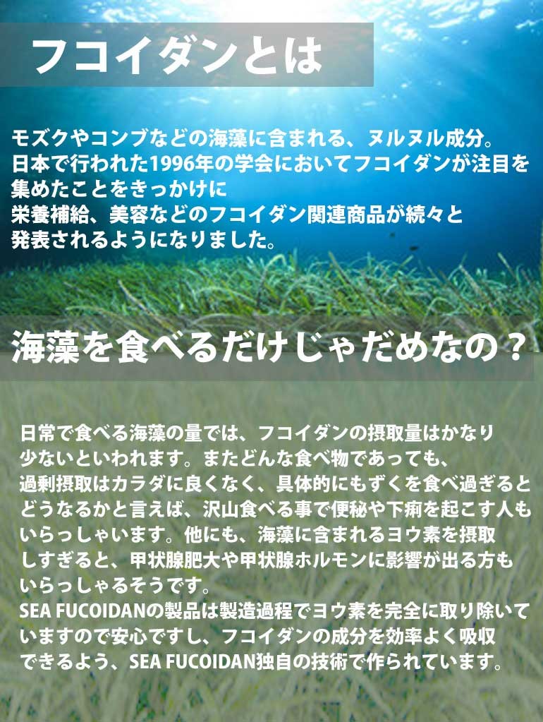 シーフコイダン ノーマルタイプ900mlx12本｜ホリウチフコイダン｜無添加トンガ産モズク・低分子化フコイダン（海藻ドリンク）｜ 低分子フコイダン  fucoidan :sf900-12:東和バイオ - 通販 - Yahoo!ショッピング