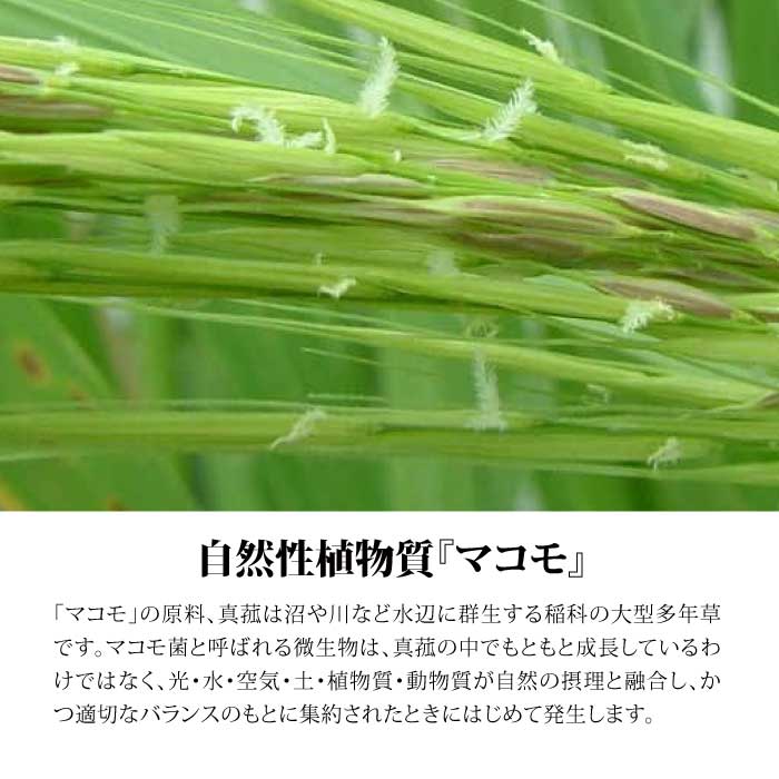 スサノメグミ お清め用