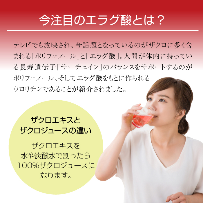 Regno レグノ SALSA 2260ML 新品未使用 - メルカリ
