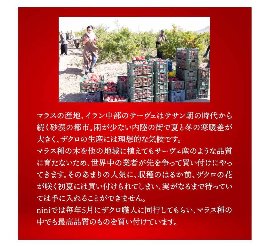 ザクロペースト