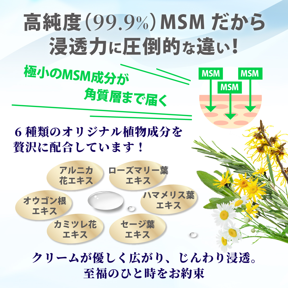 140g MSMクリーム【日本製】（マッサージクリーム）トワテック MSM10%配合｜towatech｜04