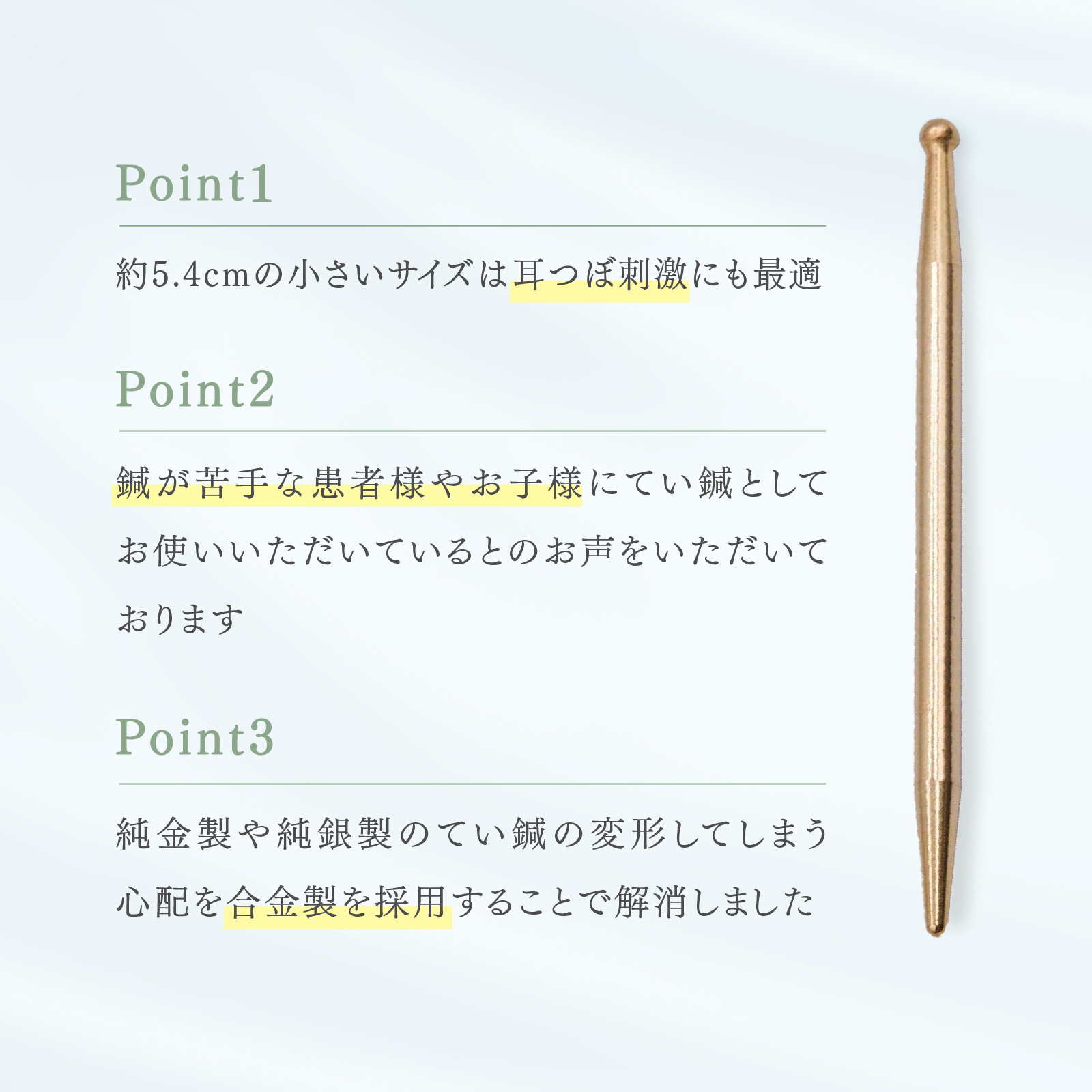 人体模型 鍼灸 針 5点セット 手 足 耳 経絡ポイント②（人体模型