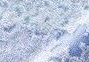 高級 今治タオル のし名入れタオル 舞い桜 のし+名刺ポケット付き袋入 36枚から注文可 送料無料｜towel-en｜03