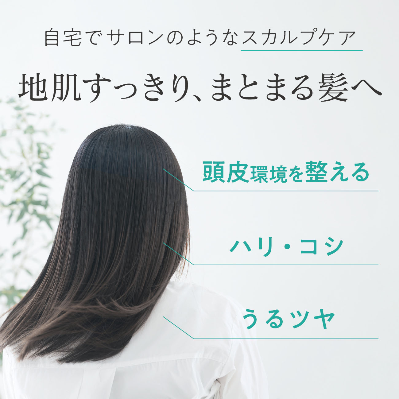 �f�C���[�f�B���C�g beauty �w�b�h�N�����Y �{�^�j�J���n�[�u �A���R�� �����z�� ���� �N�����W���O �g���[�g�����g ���� �I�[���C������ �}�b�T�[�W �w�A�P�A �֘A�摜2