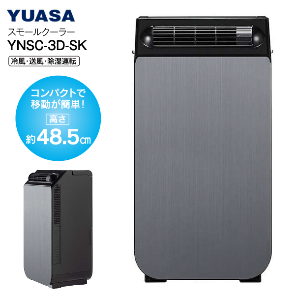 YNSC-3D