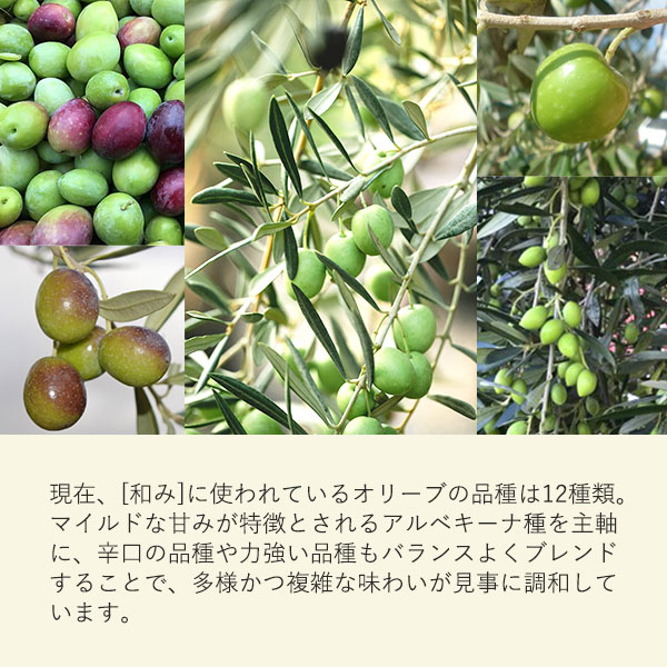 使用オリーブ品種