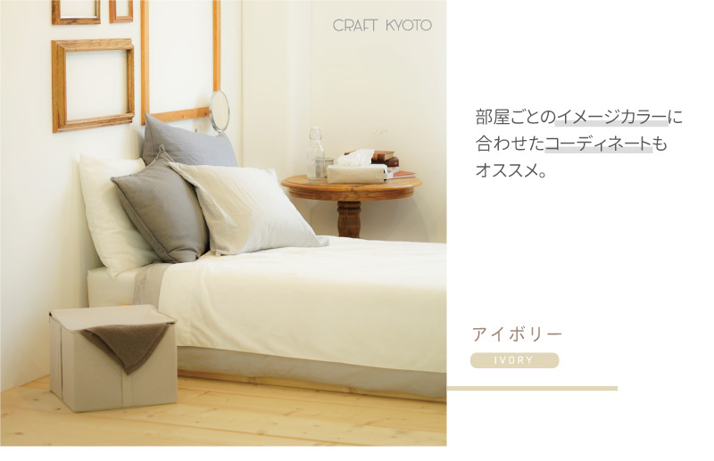 ストレリアカチオン 部屋イメージアイボリー