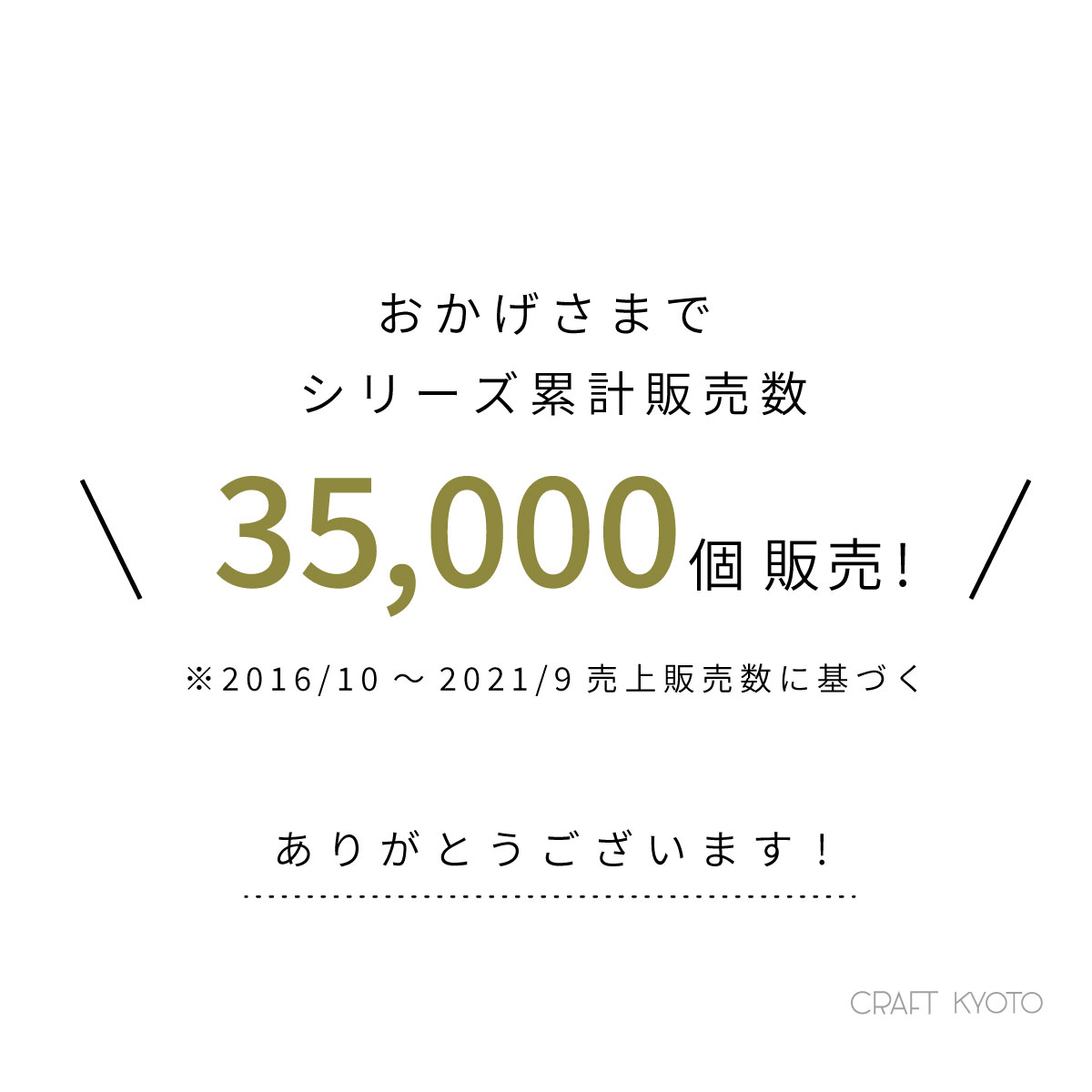 ロープバスケット Lサイズ 累計販売個数
