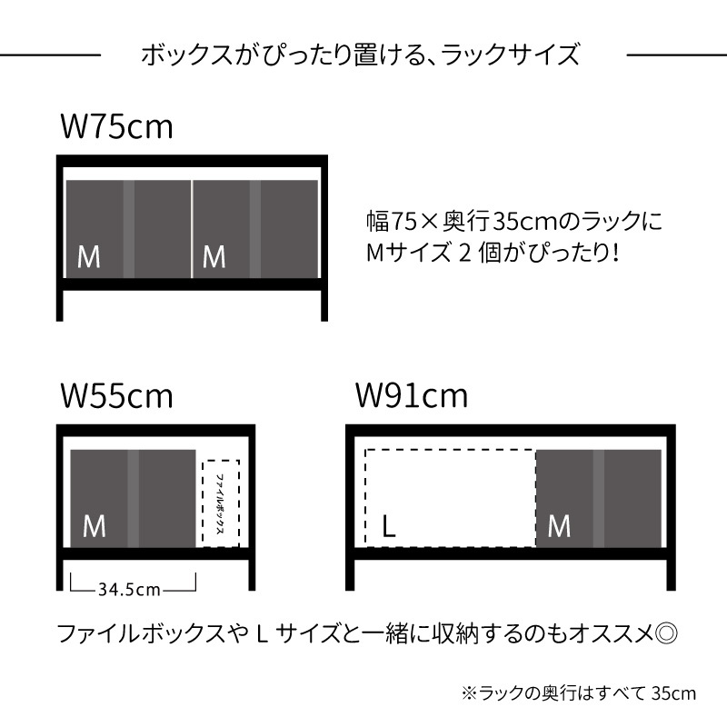 ストレリアカチオン ラックボックスM ラックサイズ