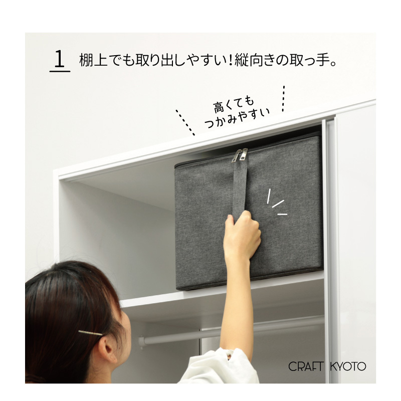 ストレリアカチオン ラックボックスM 棚上イメージ