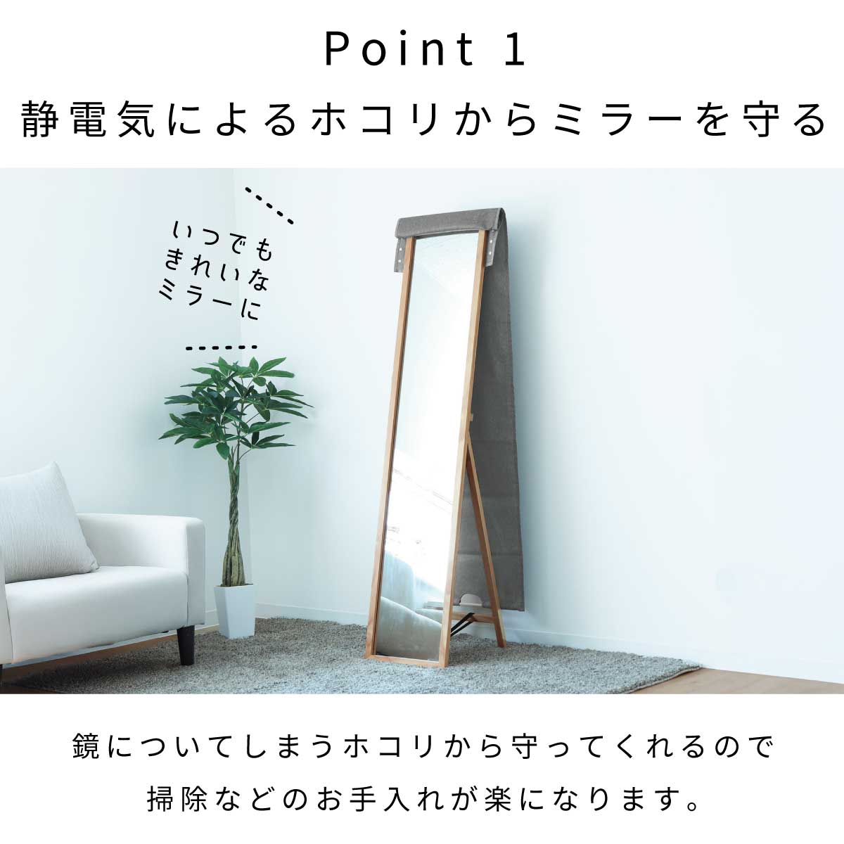 ポイント1画像