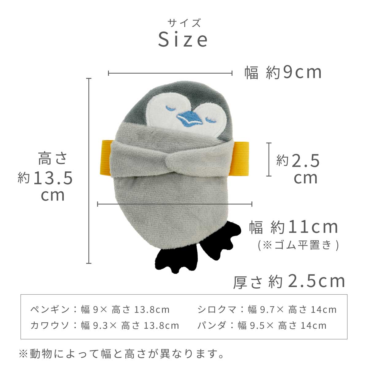サイズ