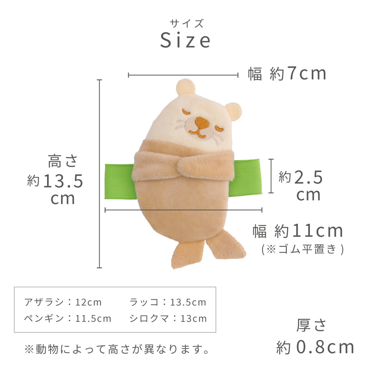 サイズ