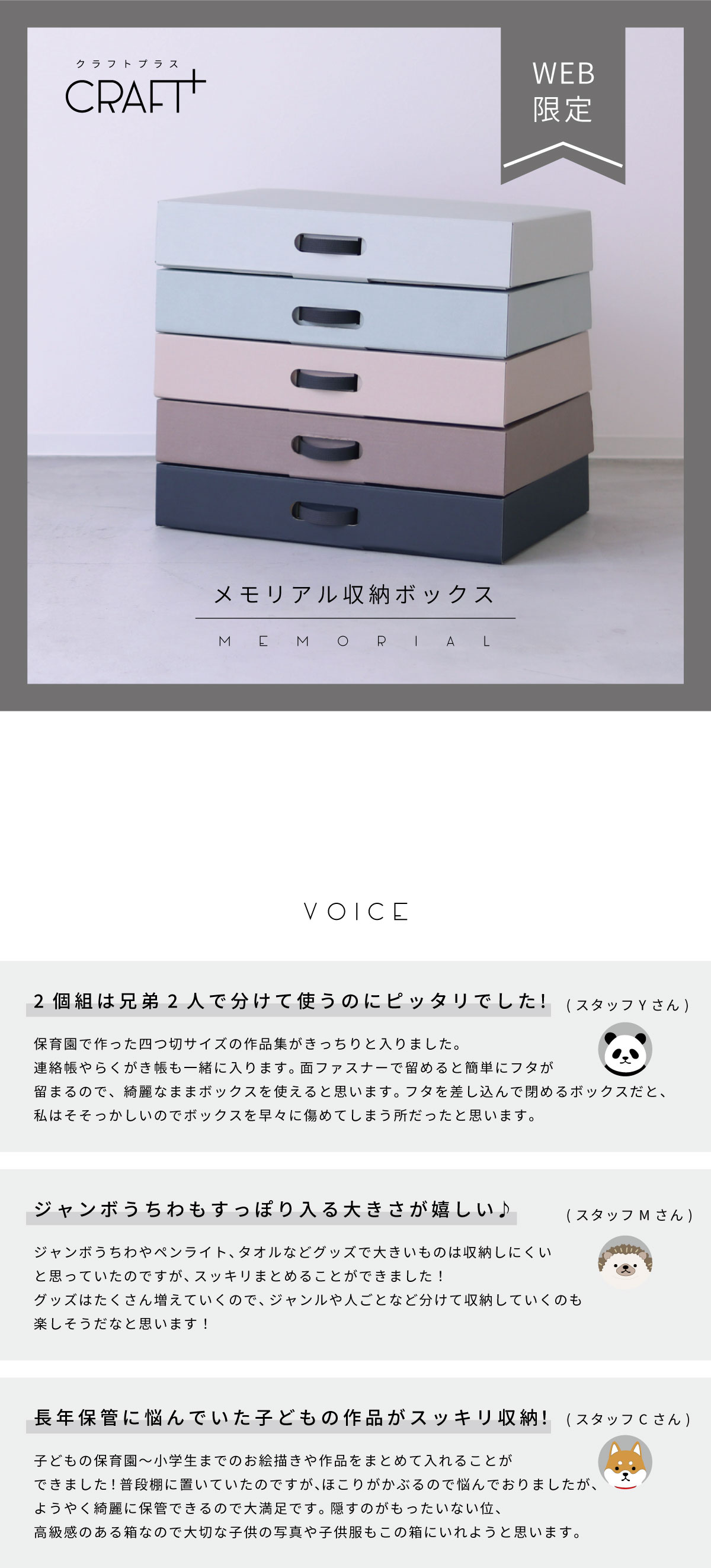 WEB限定　スタッフの声