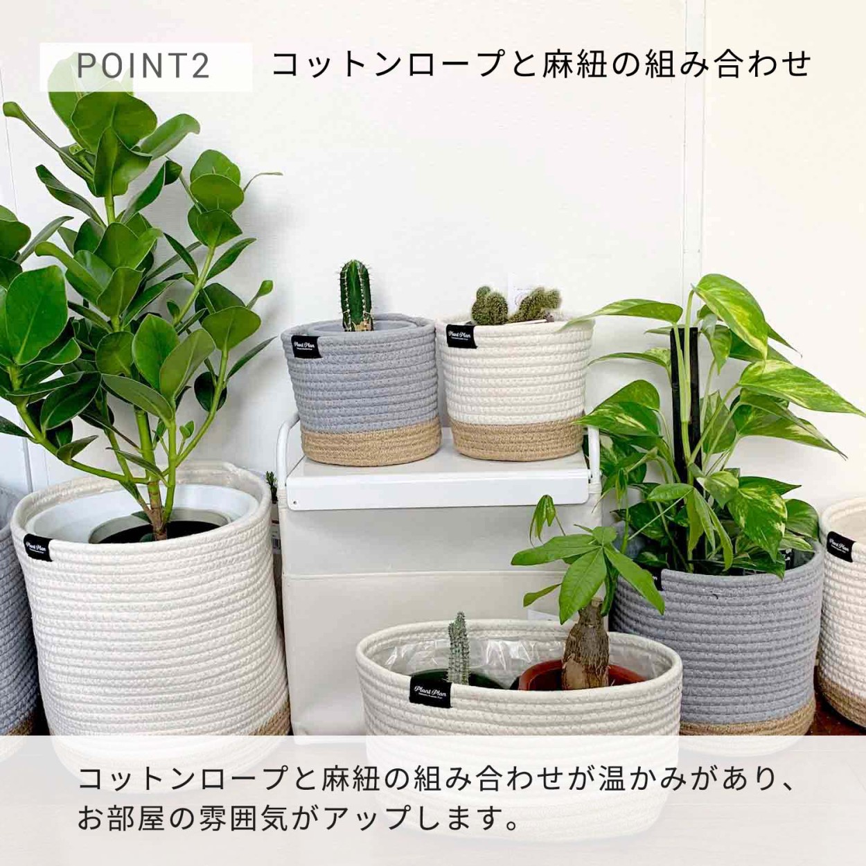 プランター カバー ボックス ウッド 天然 木 製 Lサイズ 10号用