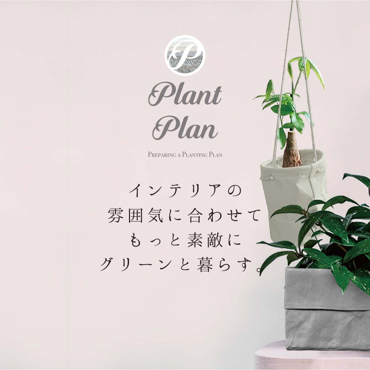 Plant Plan プラントプラン プランターカバー M ペーパー 植木鉢