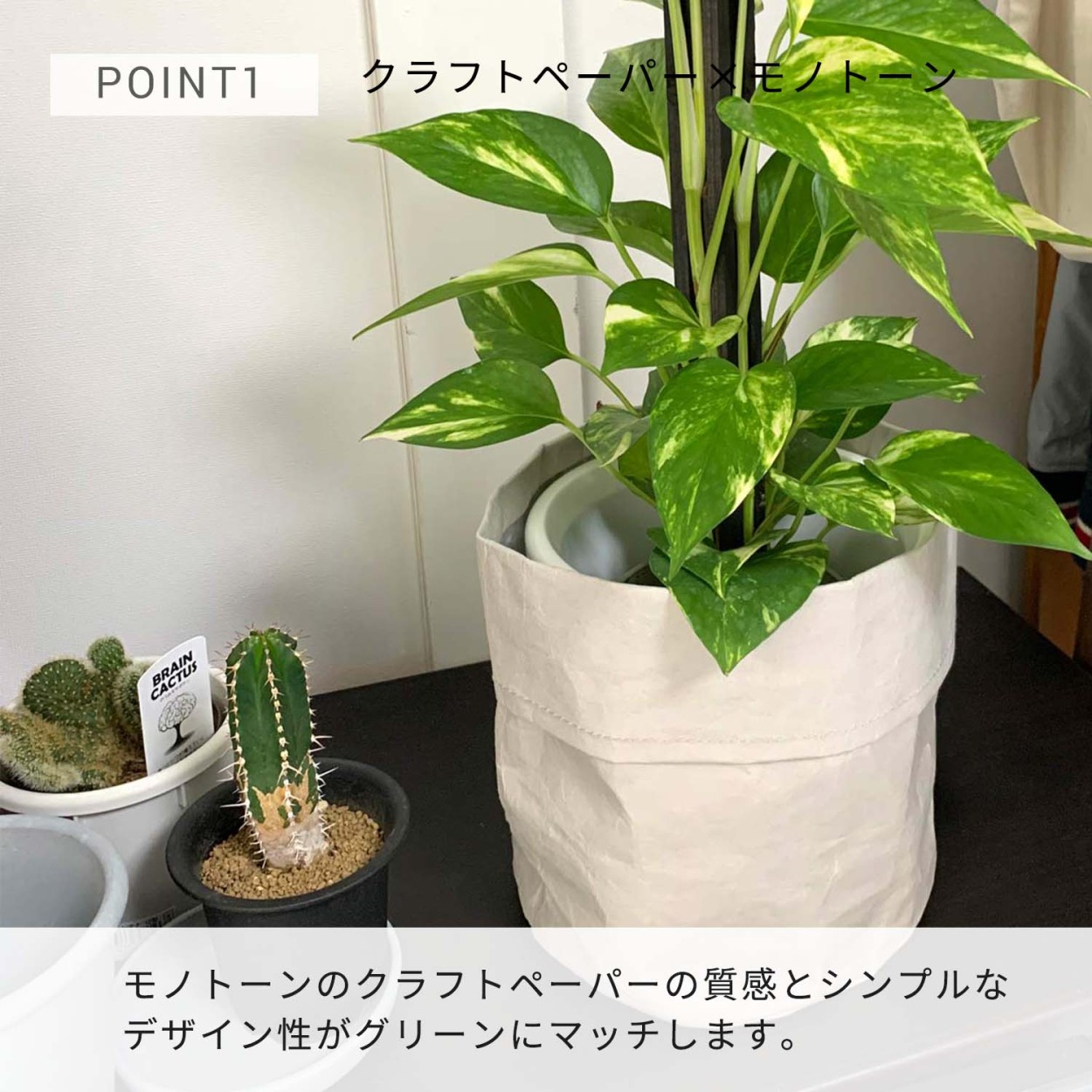 Plant Plan プラントプラン プランターカバー M ペーパー 植木鉢カバー