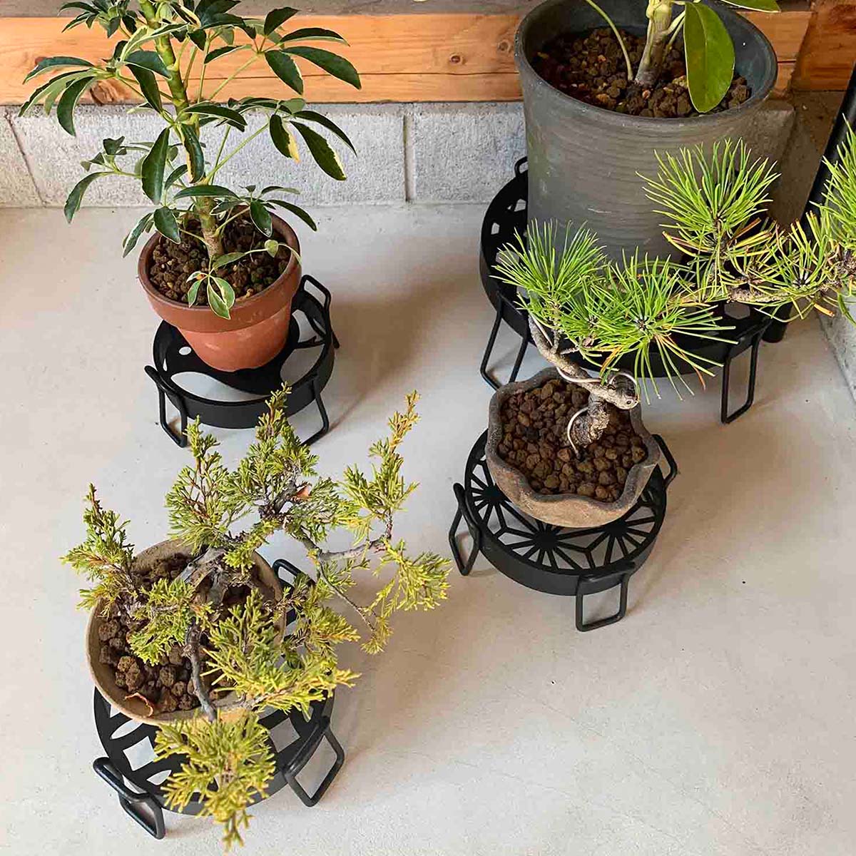 52 盆栽　盆栽鉢　植木鉢　和鉢 盆栽 盆栽鉢 植木鉢 和鉢 2鉢 楽天市場】盆栽鉢 2.5号の通販
