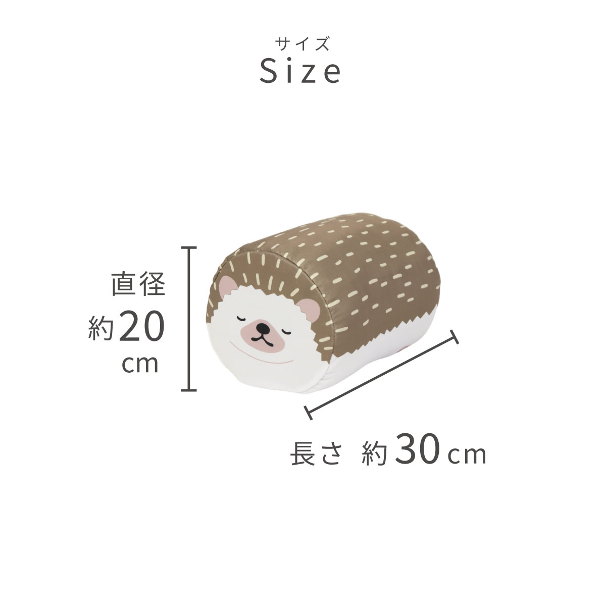 サイズ