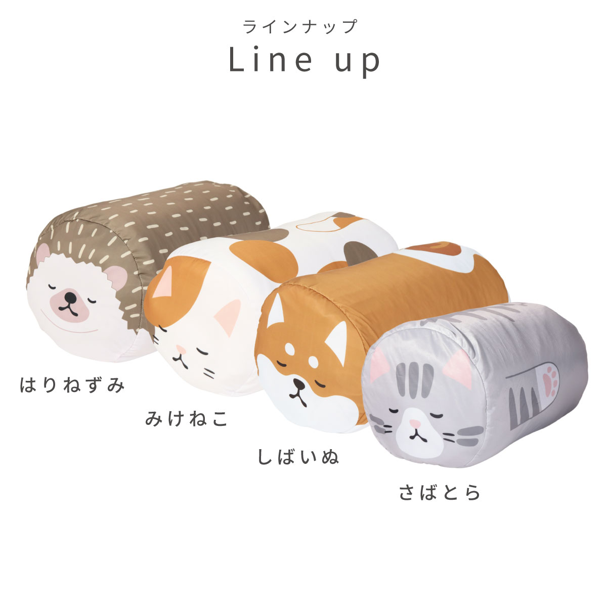 ラインナップ