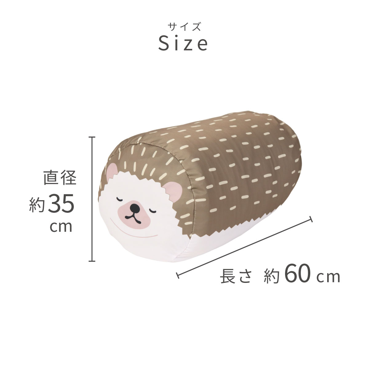 サイズ