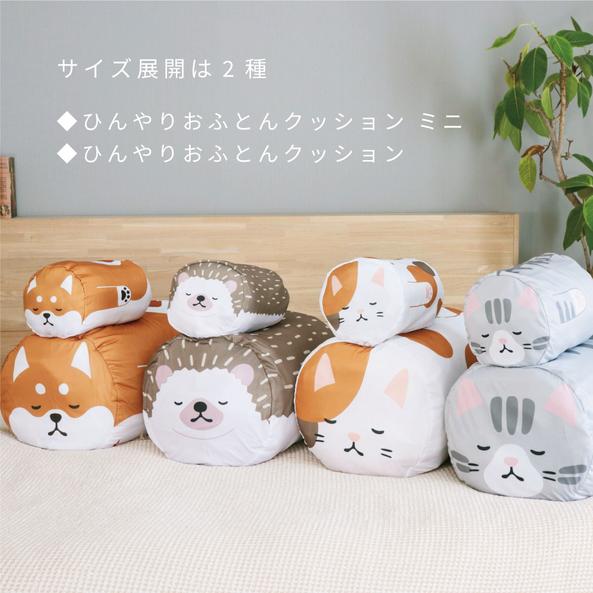 サイズ展開