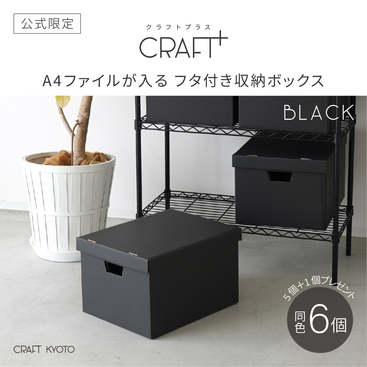 A4ファイルが入るフタ付き収納ボックス メイン画像