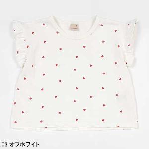 プティマイン　petit main　【プティプラ】GIRLS半袖Tシャツ　80-130ｃｍ　2024...