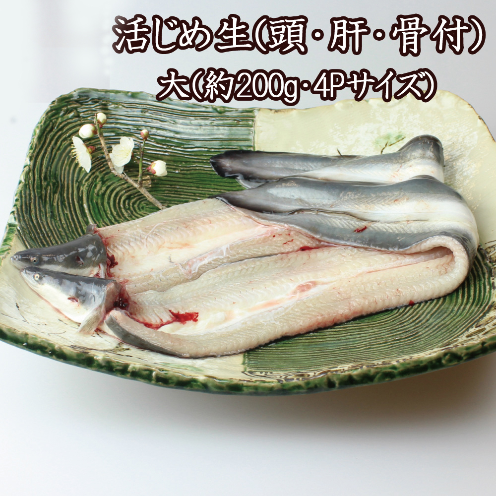 【4Pサイズ】 国産 うなぎの白焼き 4匹入り 76-004-02_ln.jpg