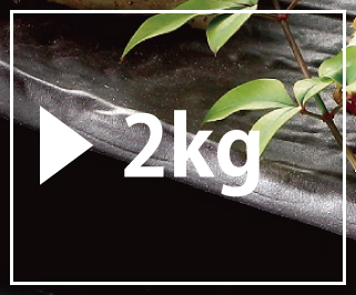 白焼2kg