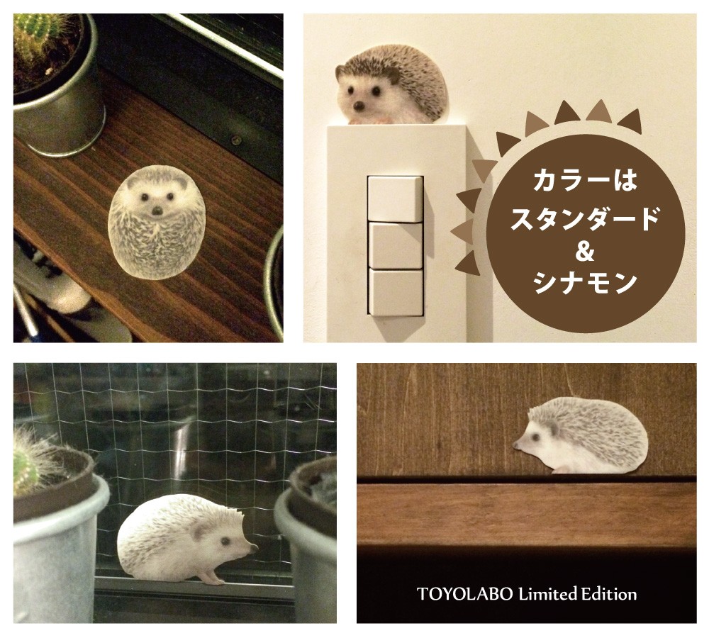 Toyo Labo Color カラー Animal Life ハリネズミ Yahoo ショッピング