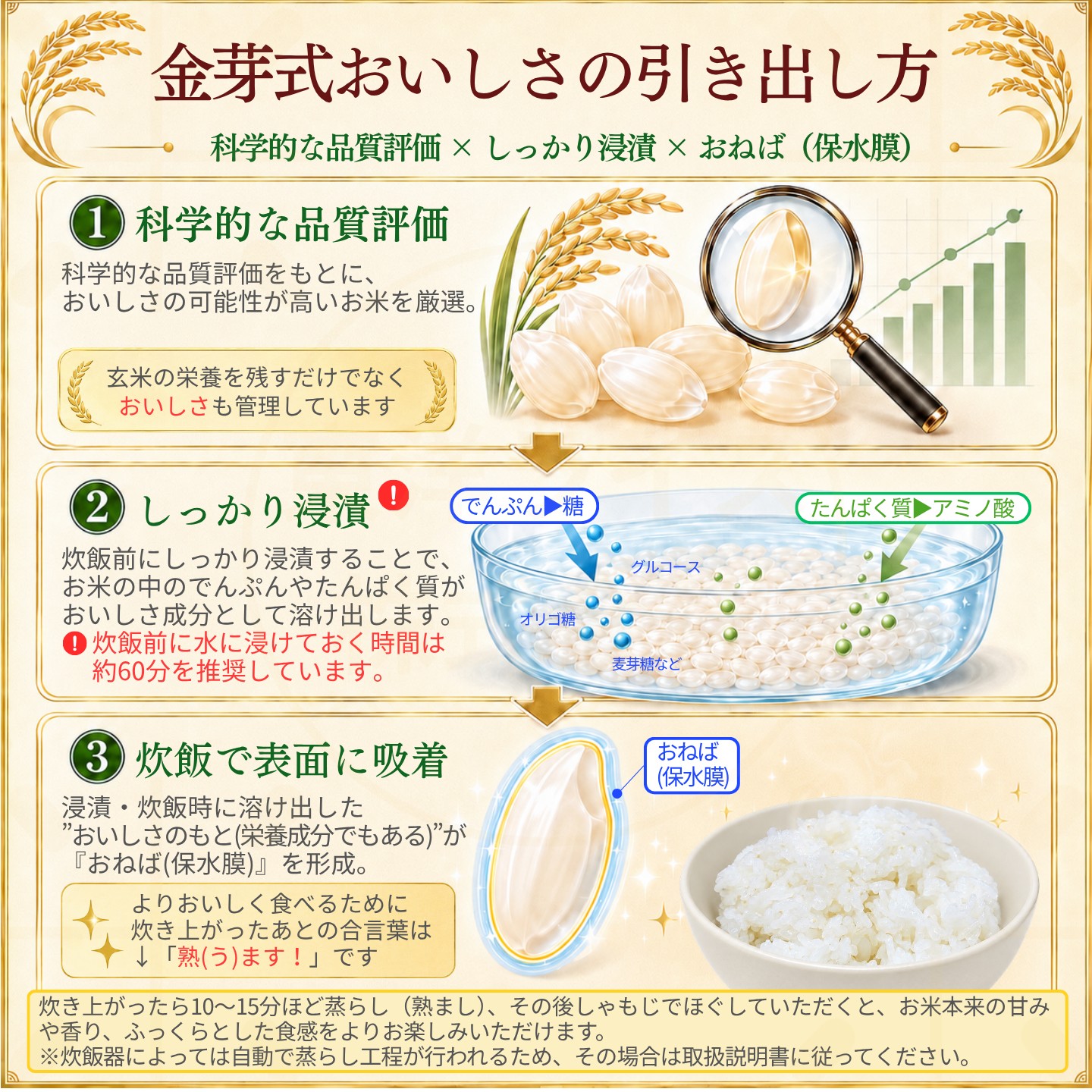 金芽米 公式ストア【無洗米】金芽米ベストセレクト 5kg 送料無料 玄米