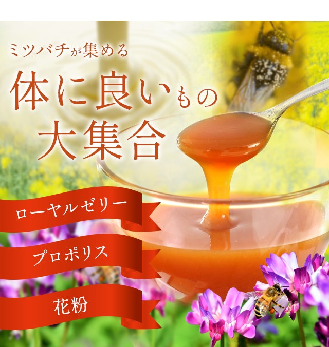 幻のハチミツ 日本製 はちみつ ハチミツ ハニー HONEY 蜂蜜 瓶詰 国産蜂蜜 国産ハチミツ 550g : 10000008 : 豊嶋養蜂園 -  通販 - Yahoo!ショッピング