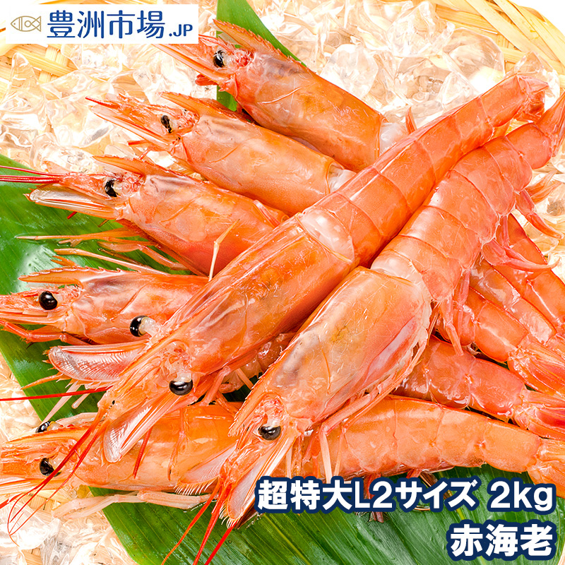 赤海老 2kg（特大L2・40〜60尾・業務用1箱） : 豊洲市場.jp