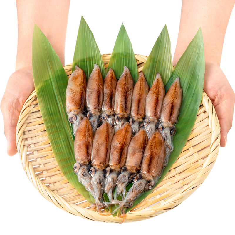 ホタルイカ