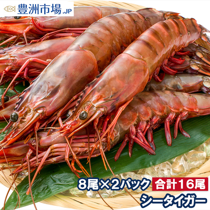 シータイガー 16尾 約30cm 1.5kg×2箱 天然 特大 超特大 エビ えび 海老 加熱用 冷凍 BBQ バーベキュー 冷凍海老 ジャンボ  エビフライ 海老フライ 天ぷら : seatiger-2p : 豊洲市場.jp うに かに まぐろ 海鮮グルメ - 通販 - Yahoo!ショッピング