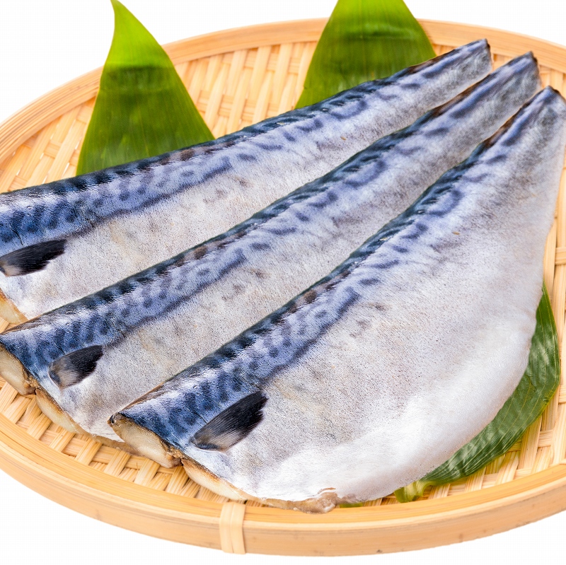 塩熟サバ