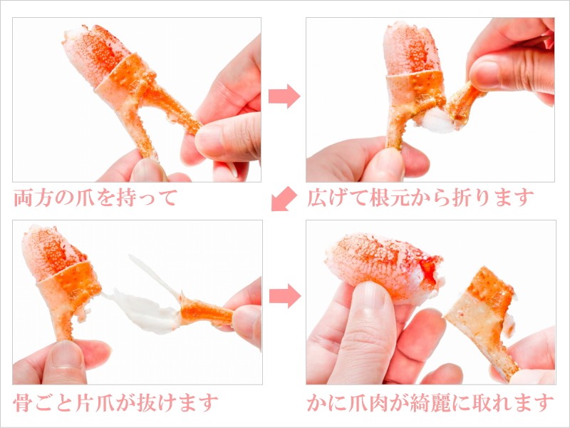 ズワイガニ爪
