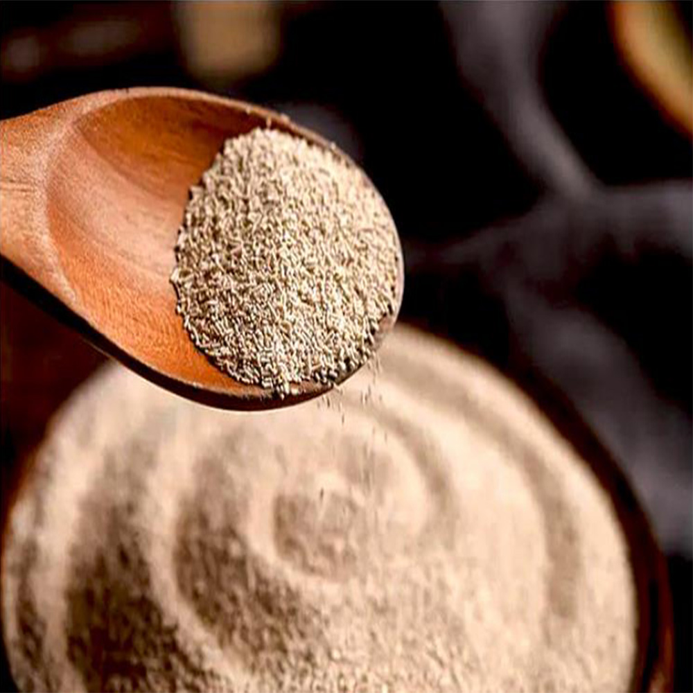 安其酵母15g【10点】干酵母 中国産 中華こ...の詳細画像2