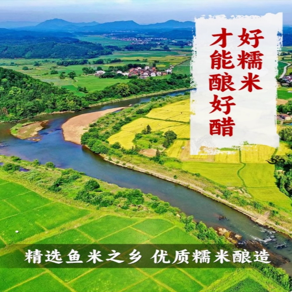 老騾子鎮江香醋500ml【3点】黒酢 ギョウザ...の詳細画像4