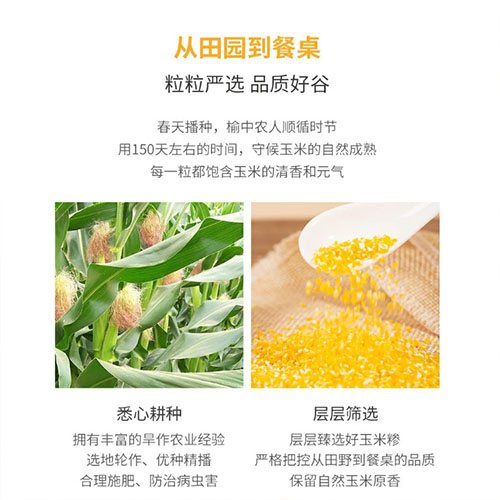 玉米渣大400g【1点】玉米粒(大)トウモロコ...の詳細画像2
