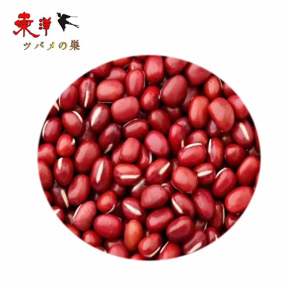 紅豆500g【2点】こうとう あずき 小豆 乾燥豆 乾燥あずき 500gx2点 : 東洋ツバメの巣 - 通販 - Yahoo!ショッピング