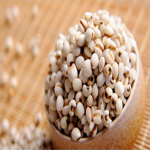 意仁米400g【1点】はと麦 ハトムギ 中華食材 中華粗糧 400gx1点 : 東洋ツバメの巣 - 通販 - Yahoo!ショッピング