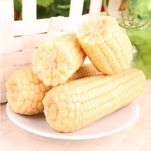 双葉白糯玉米【40点】モチとうもろこし 軸付き...の詳細画像2