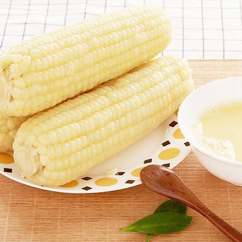 双葉白糯玉米【40点】モチとうもろこし 軸付き...の詳細画像3