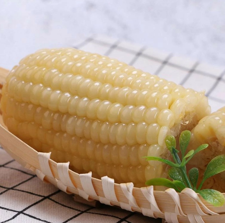 双葉白糯玉米【40点】モチとうもろこし 軸付き...の詳細画像5